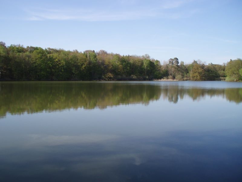 Der Stachelsee